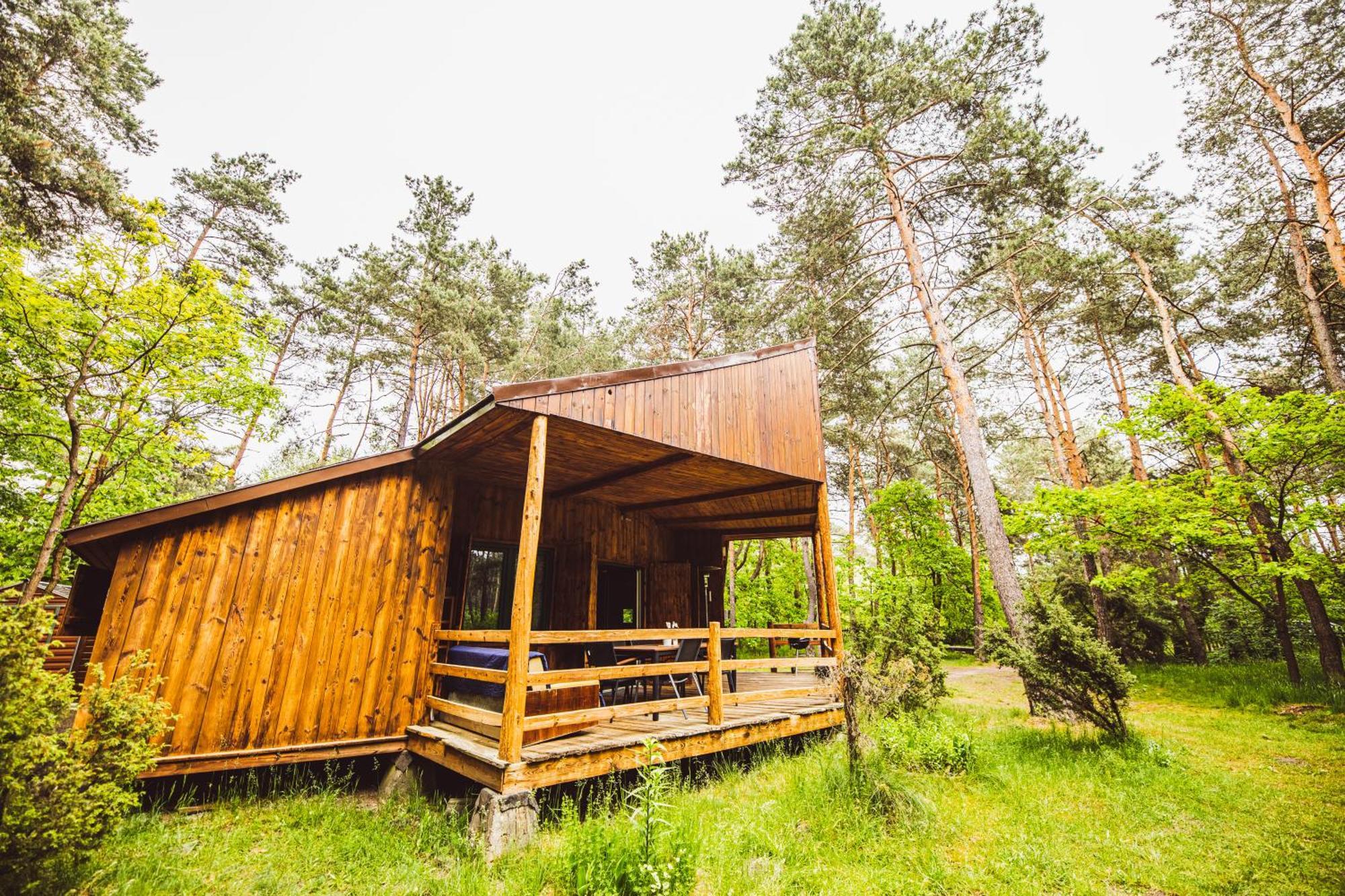 Cozy Nature Retreat With Patio Fireplace Garden Maciejowice Экстерьер фото