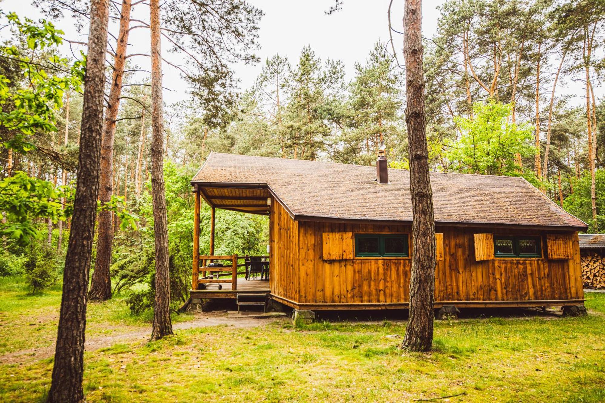 Cozy Nature Retreat With Patio Fireplace Garden Maciejowice Экстерьер фото