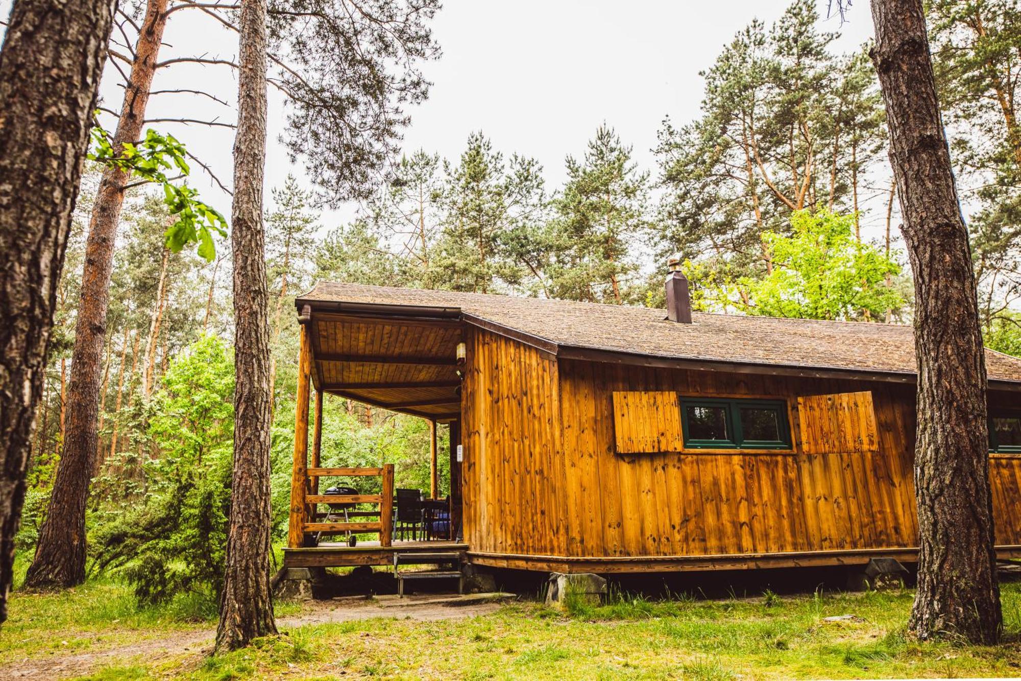 Cozy Nature Retreat With Patio Fireplace Garden Maciejowice Экстерьер фото