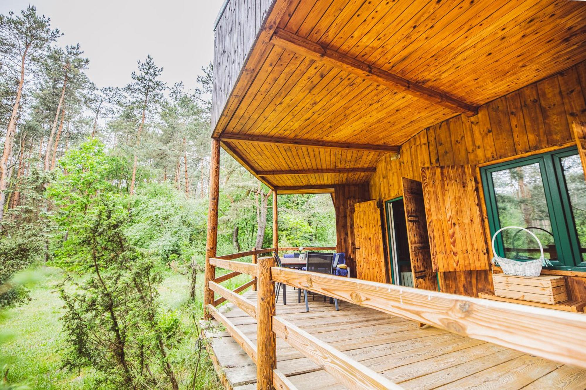 Cozy Nature Retreat With Patio Fireplace Garden Maciejowice Экстерьер фото
